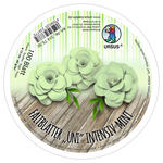 Faltbltter Rund, intensiv durchgefrbt, 100 Blatt,  12 cm, 65g/qm, Mint