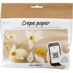 Kreativ Set Floristen-Krepppapier, Magnolienzweig, Extrastarkes Krepp, 105 g