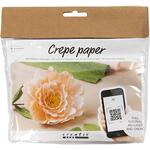 Kreativ Set Floristen-Krepppapier, Pfingstrose, Extrastarkes Krepp, 105 g