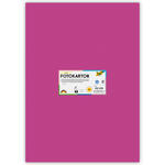 Fotokarton 10 Bogen, 300 g/qm, 50x70 cm, Eosin