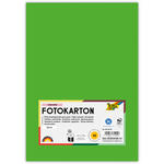 Fotokarton, 50 Bogen, 300 g/qm, DIN A4, Grasgr�n