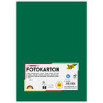 Fotokarton, 50 Bogen, 300 g/qm, DIN A4, Tannengr�n