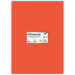 Fotokarton 10 Bogen, 300 g/qm, 50x70 cm, Orange