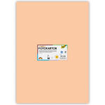 Fotokarton 10 Bogen, 300 g/qm, 50x70 cm, Apricose