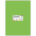 Fotokarton 10 Bogen, 300 g/qm, 50x70 cm, Hellgr�n
