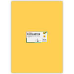 Fotokarton 300g/qm 50x70 cm, Gold-Matt, 1 Bogen