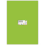 Tonpapier, 10 Bogen, 130 g/qm, 50x70 cm, Maigr�n