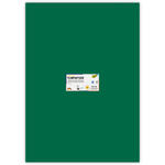 Tonpapier, 10 Bogen, 130 g/qm, 50x70 cm, Tannengr�n
