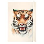 Sammelmappe mit Gummiband, A3, 1 Mappe, BASIC ROARING TIGER / Tigerkopf