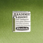 Akademie-Aquarellfarbe 1/2 Napf, Oliv Gelbgr�n