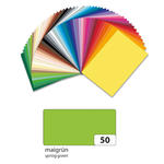 Fotokarton 300g/qm 50x70 cm, Maigrn, 1 Bogen