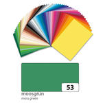 Fotokarton 300g/qm 50x70 cm, Moos-Grn, 1 Bogen